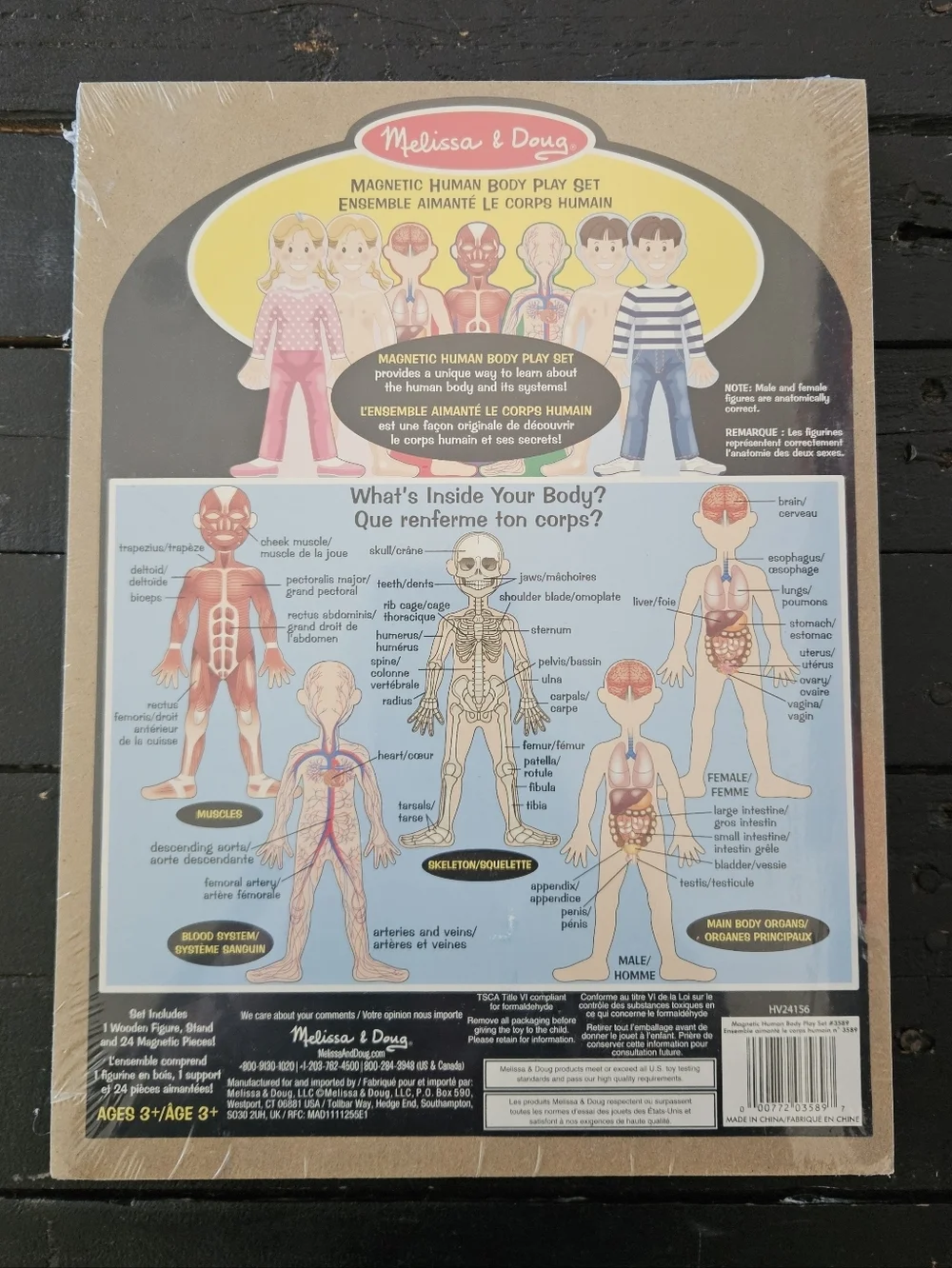 Melissa & Doug NWT Magnetic Human Body Play Set Blue & Yellow Doll Imaginative